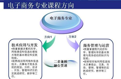 电子商务专业考研软件