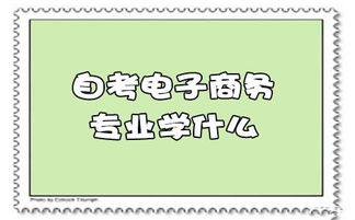 自学电子商务专业好学吗