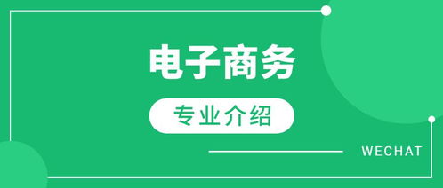 入驻电子商务专业吗