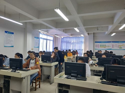 电子商务专业培养的人才