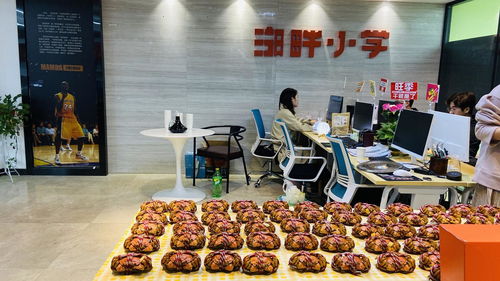 电子商务专业难读吗女生