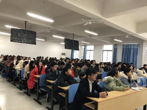 电子商务专业能考审计吗